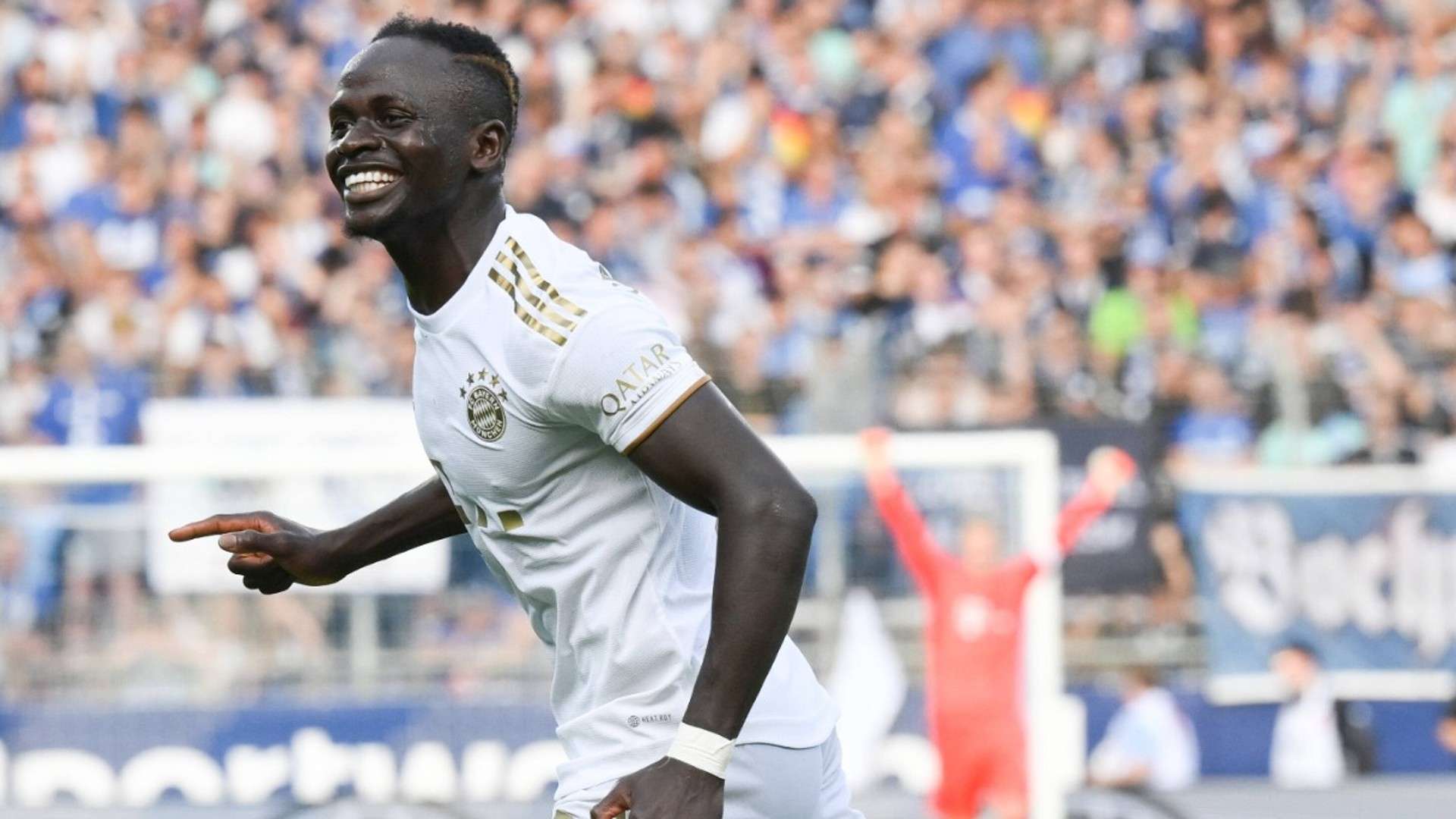 他在多家豪 他在多家豪