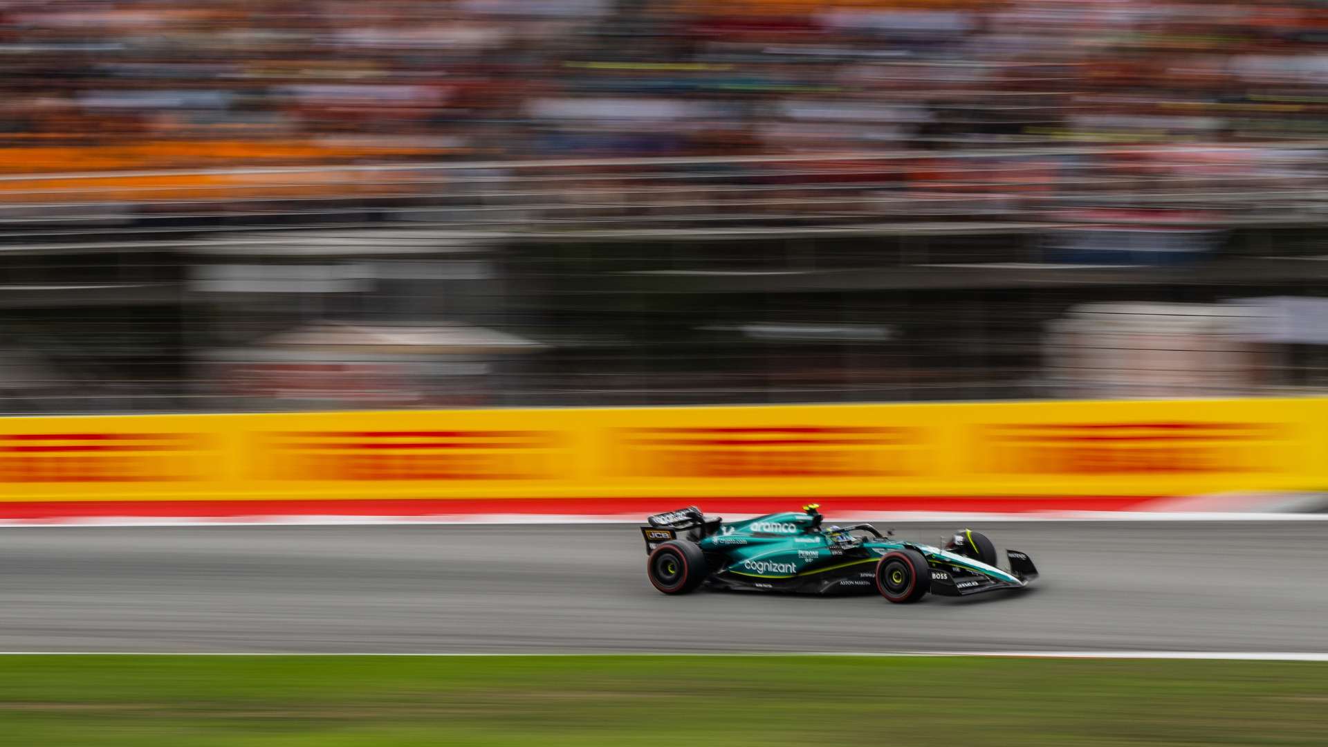 山东队的胜 山东队的胜